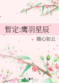 暂定:鹰羽星辰